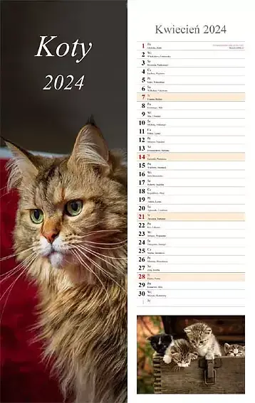Kalendarz 2024 paskowy koty