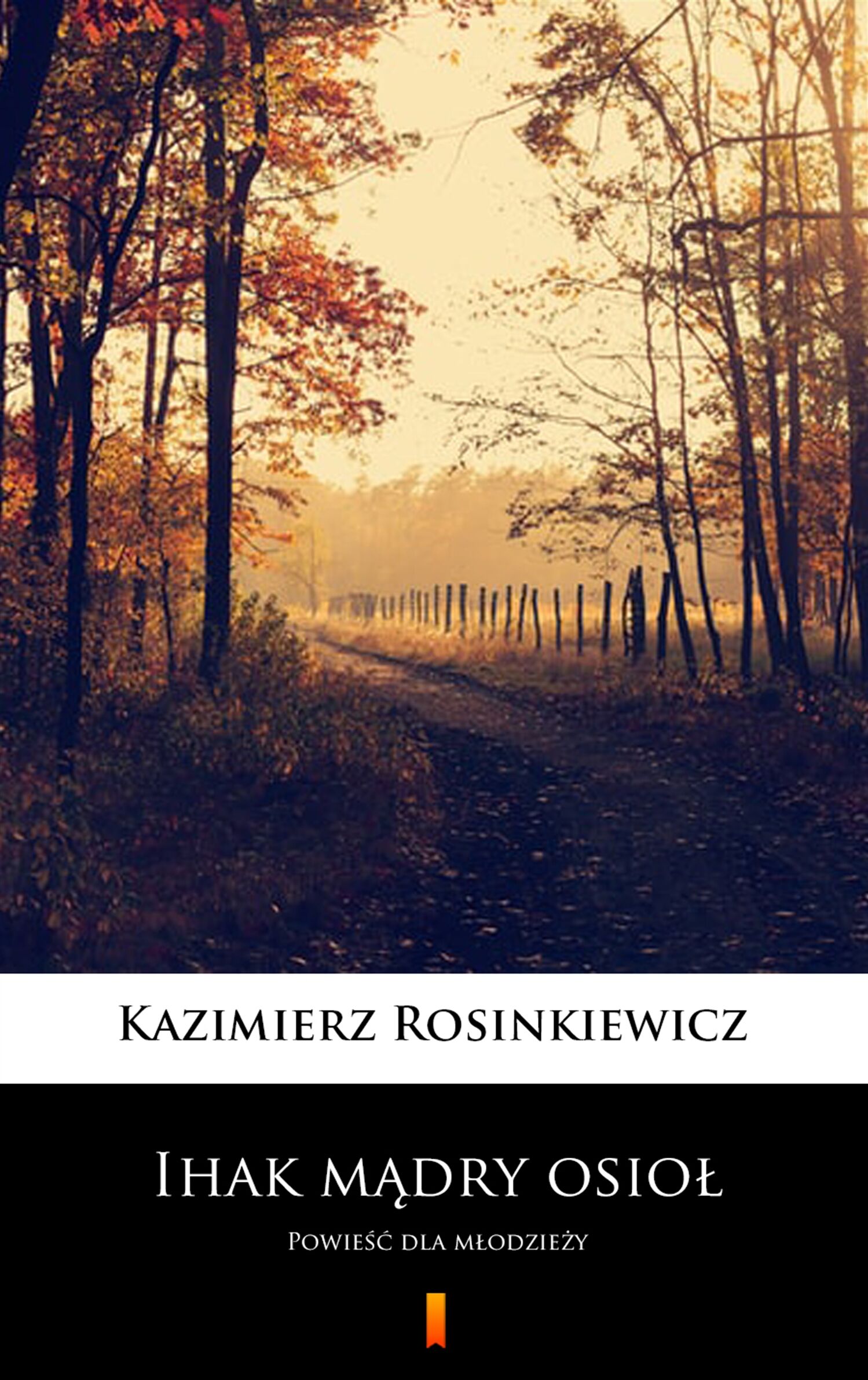 Ihak mądry osioł (e-book)