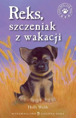 Reks szczeniak z wakacji