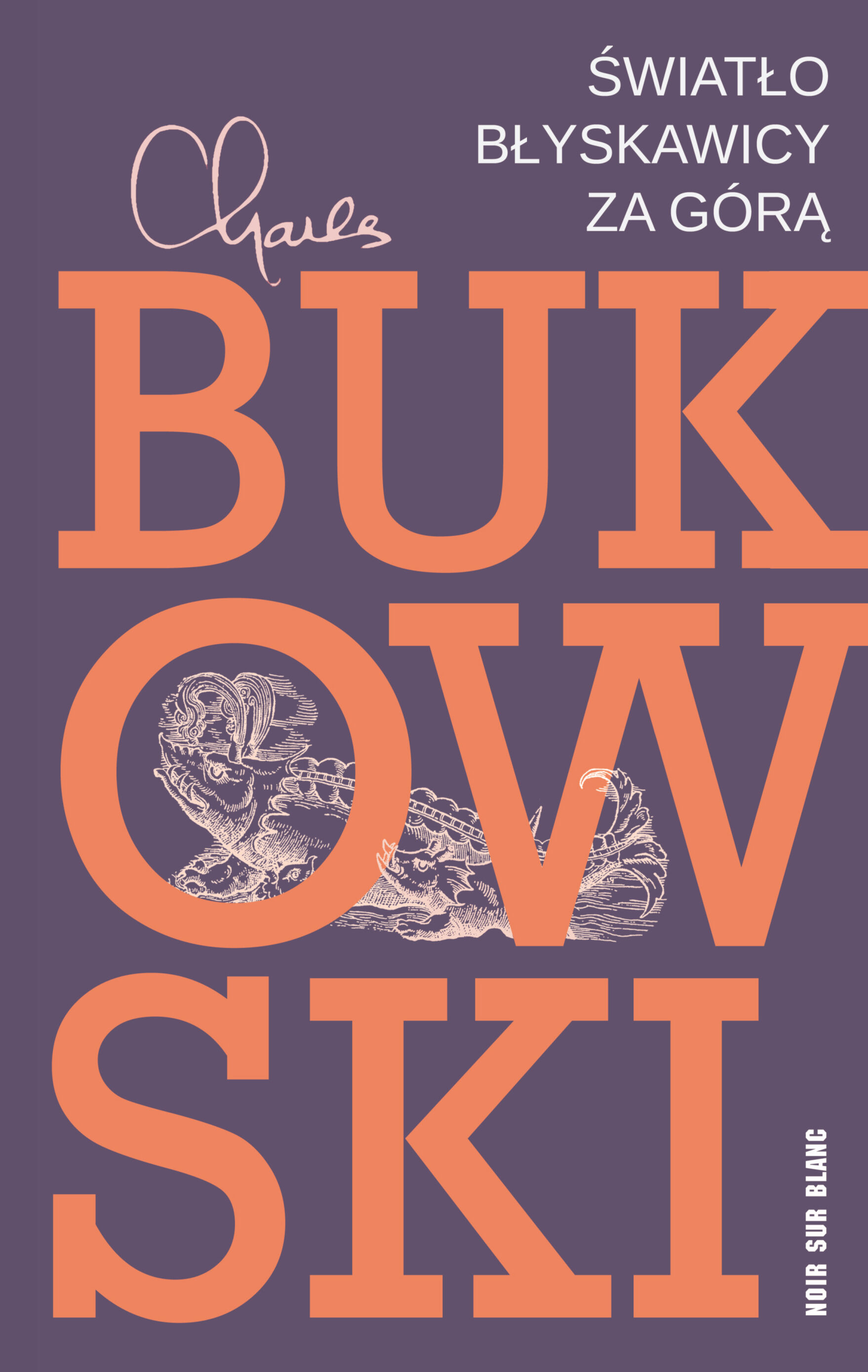 Światło błyskawicy za górą (e-book)