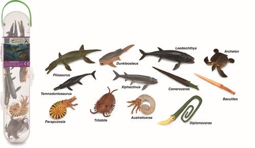 Prehistoric animals Box mini