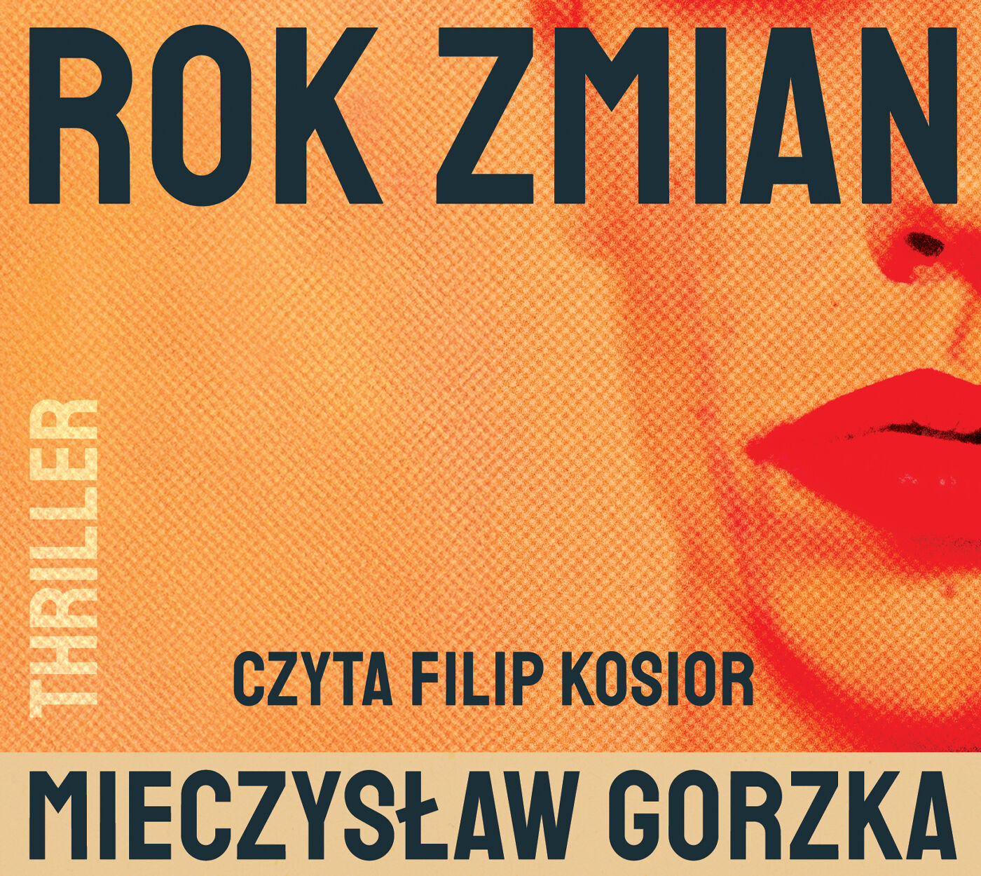 Rok zmian (audiobook MP3)