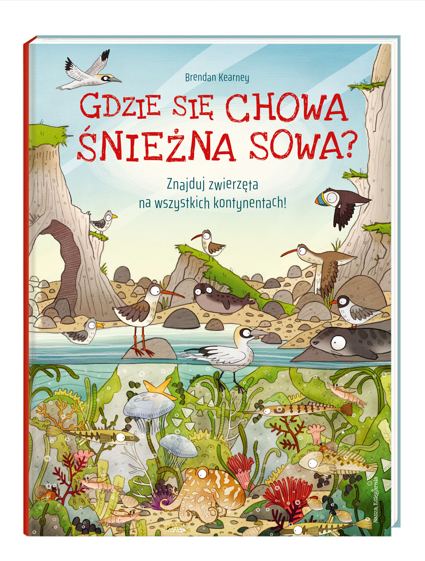 Gdzie się chowa śnieżna sowa znajduj zwierzęta na wszystkich kontynentach