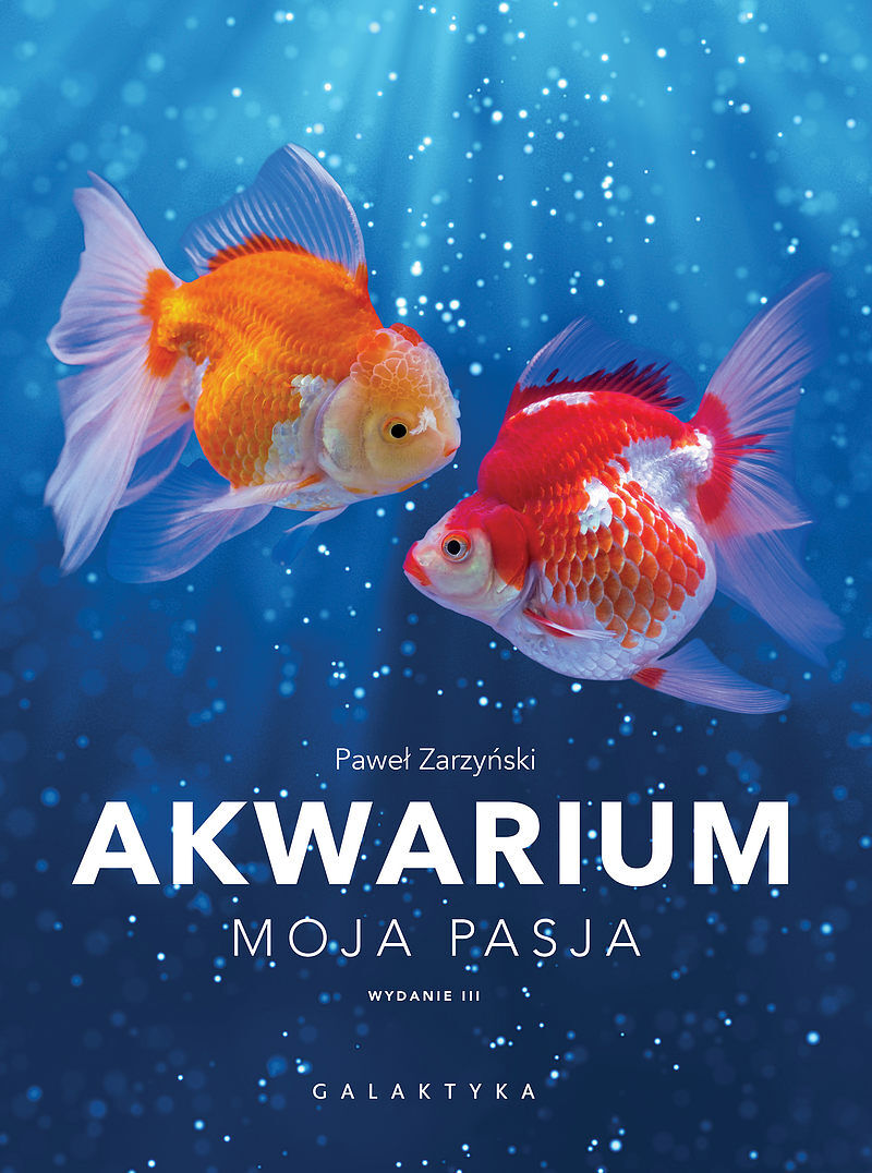 Akwarium