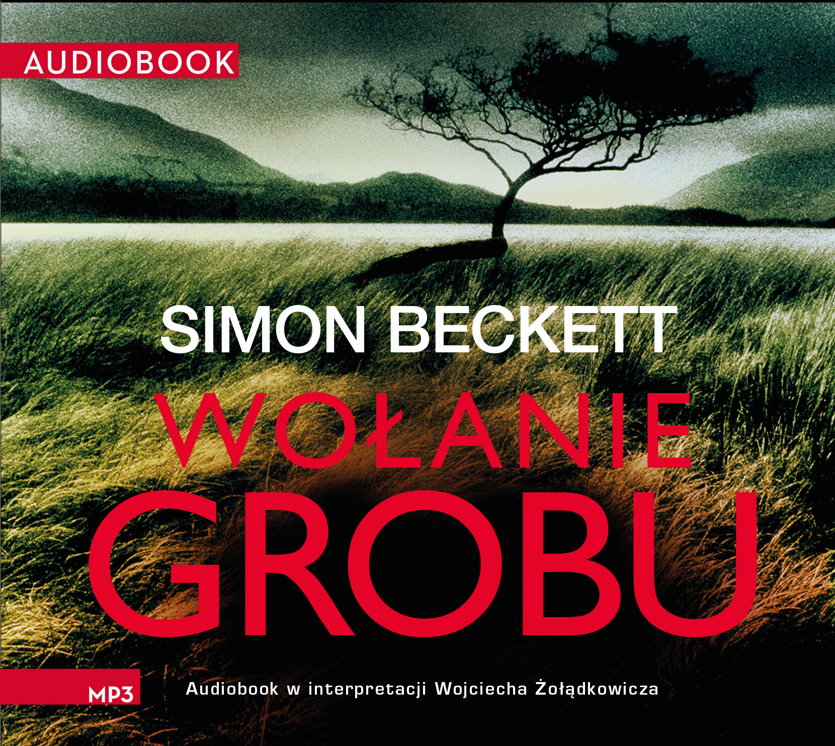 Wołanie grobu (audiobook MP3)