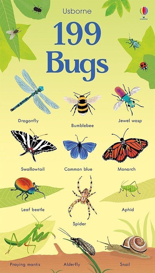 199 Bugs (Board book)