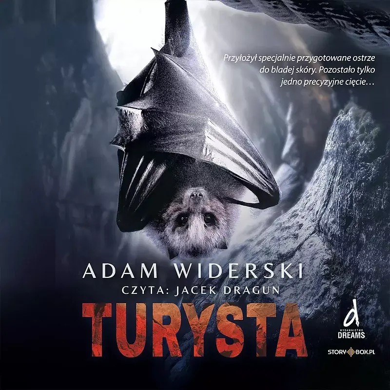 Cd mp3 turysta