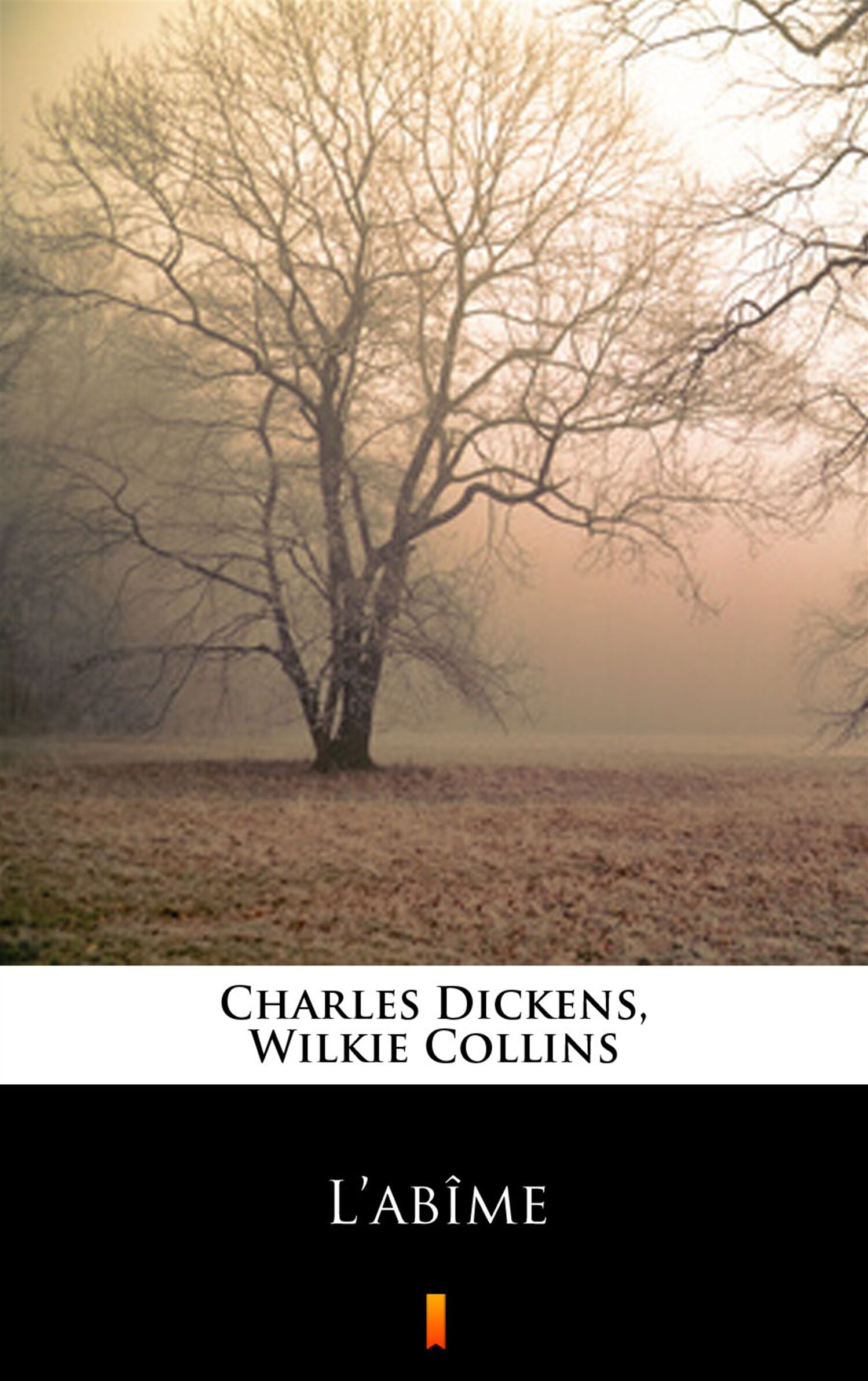 L’abîme (e-book)