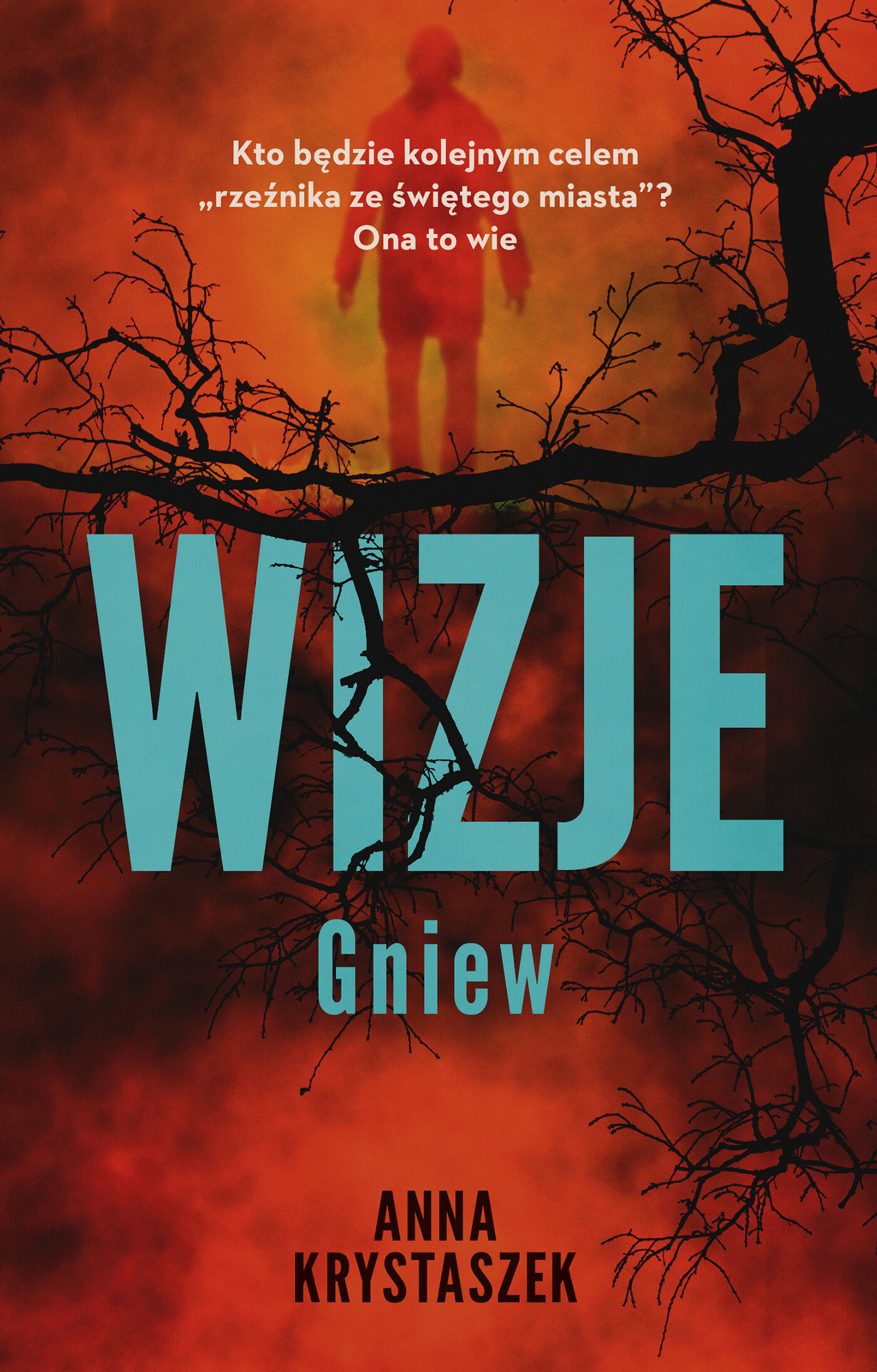 Wizje (e-book)