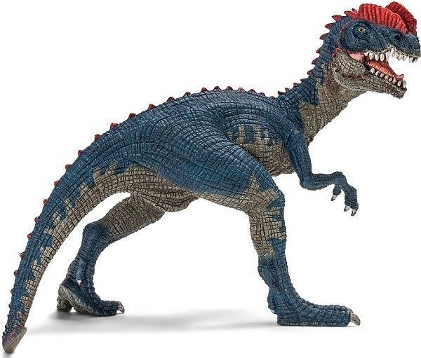 Diplozaurus slh14567