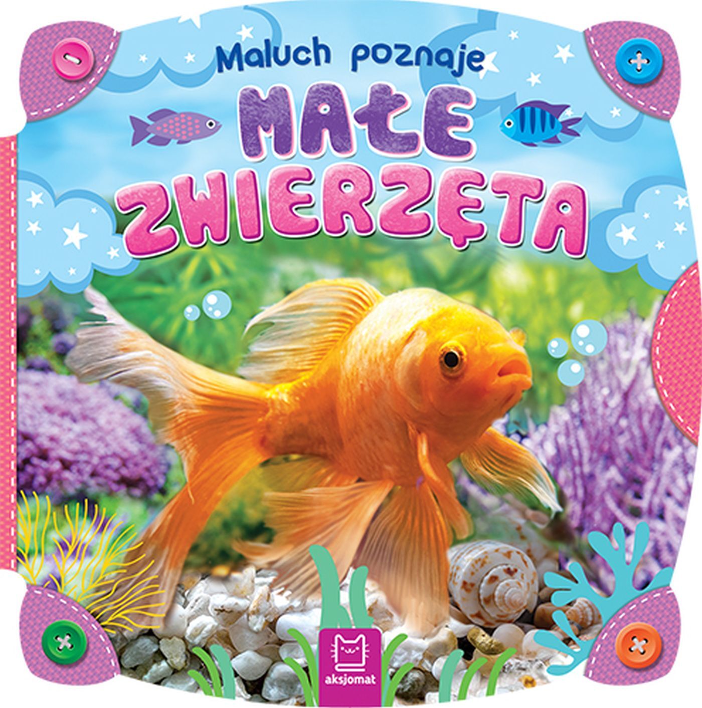 Maluch poznaje małe zwierzęta