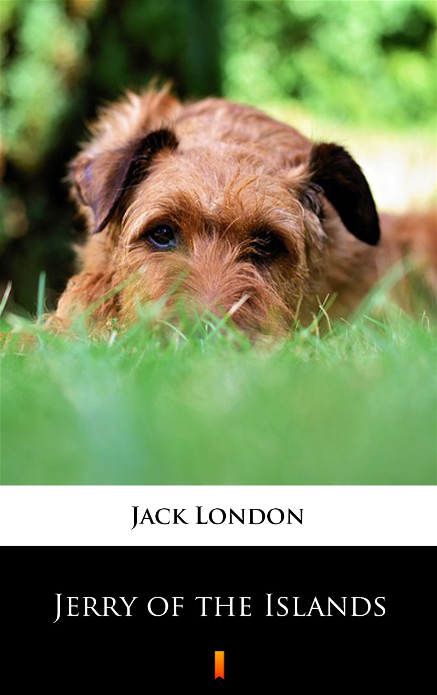 Jerry of the Islands (e-book)