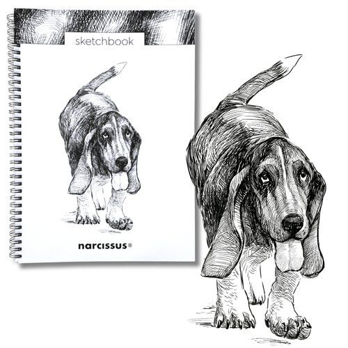 Szkicownik A4 na spirali Pies Basset 50k z perforacją 120 gsm Narcissus