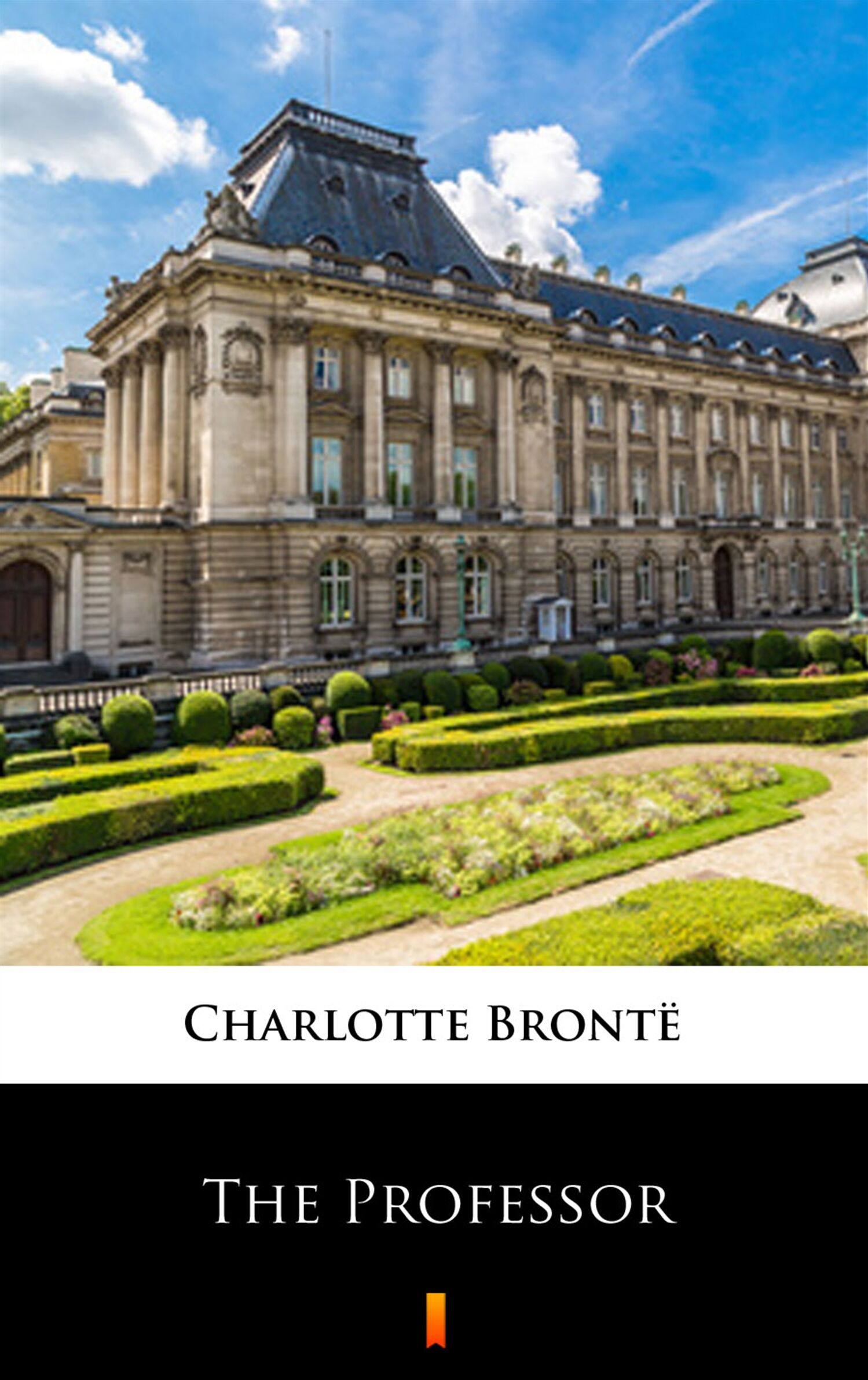 The Professor (e-book)
