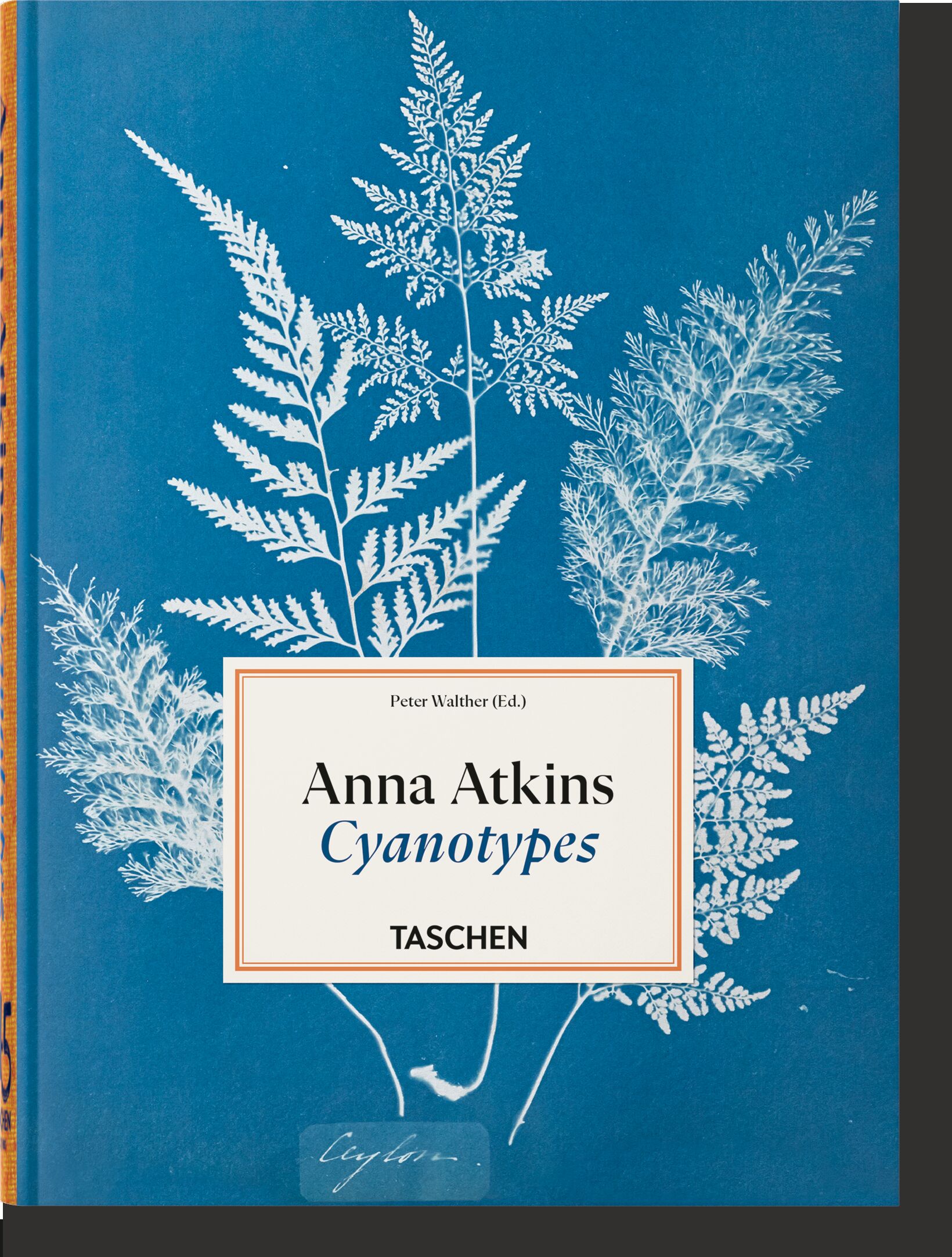 Anna Atkins. Cyanotypes
