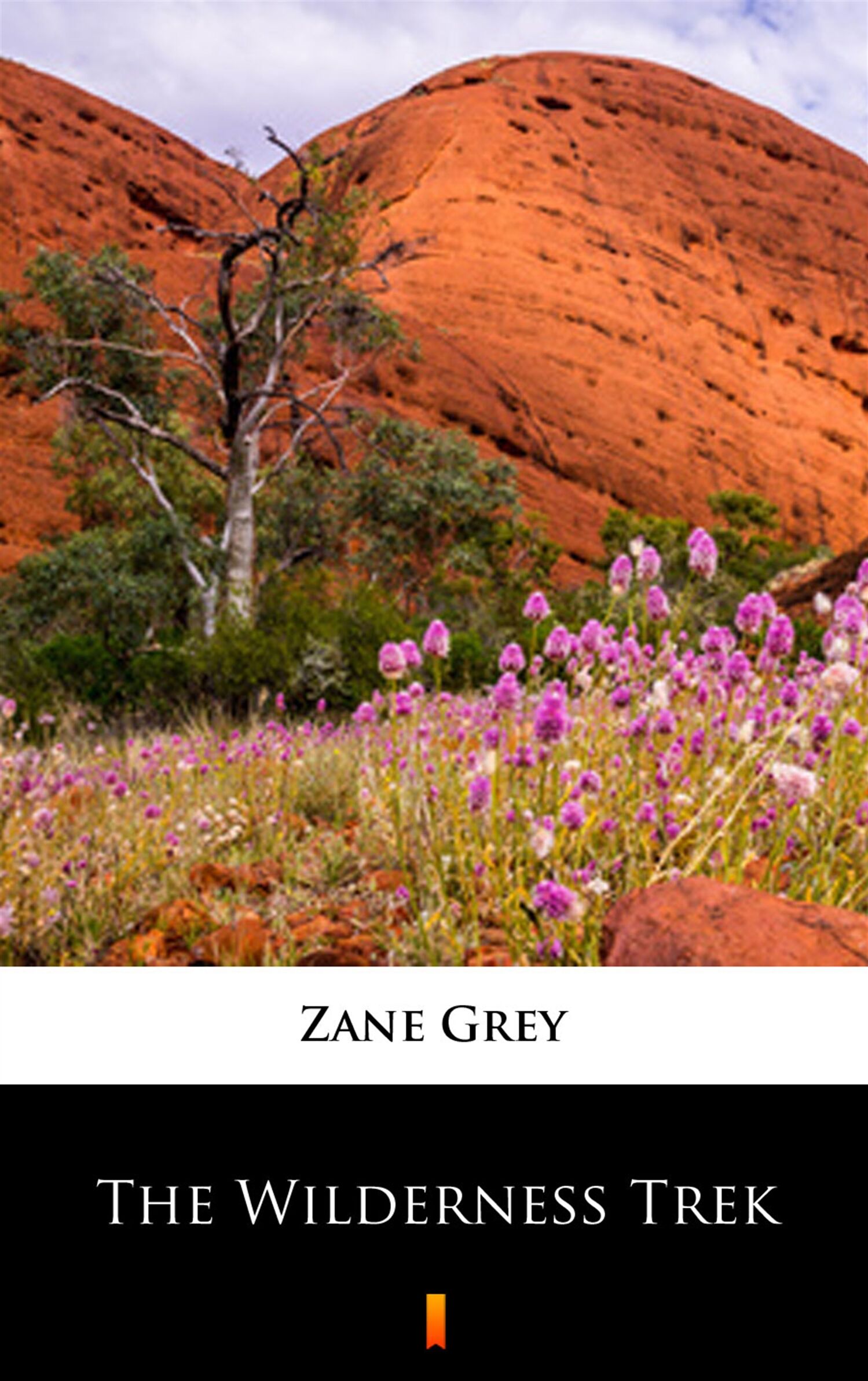 The Wilderness Trek (e-book)