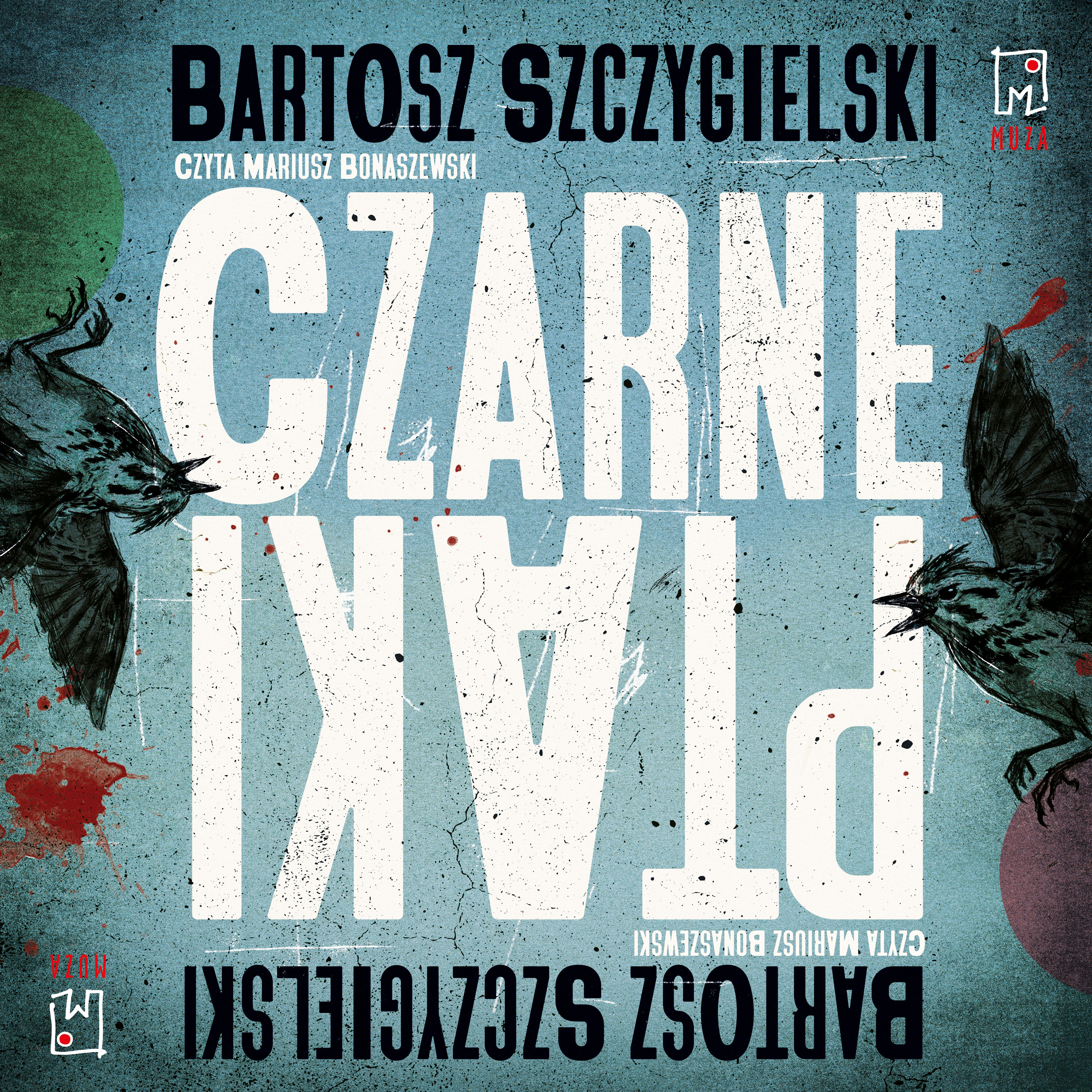Czarne ptaki (audiobook MP3)