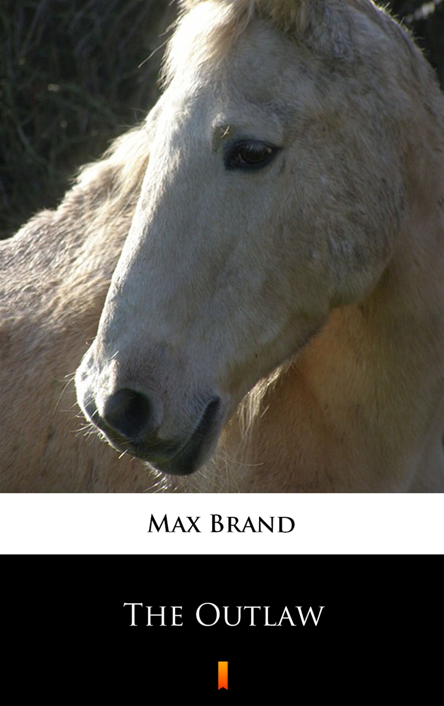 The Outlaw (e-book)