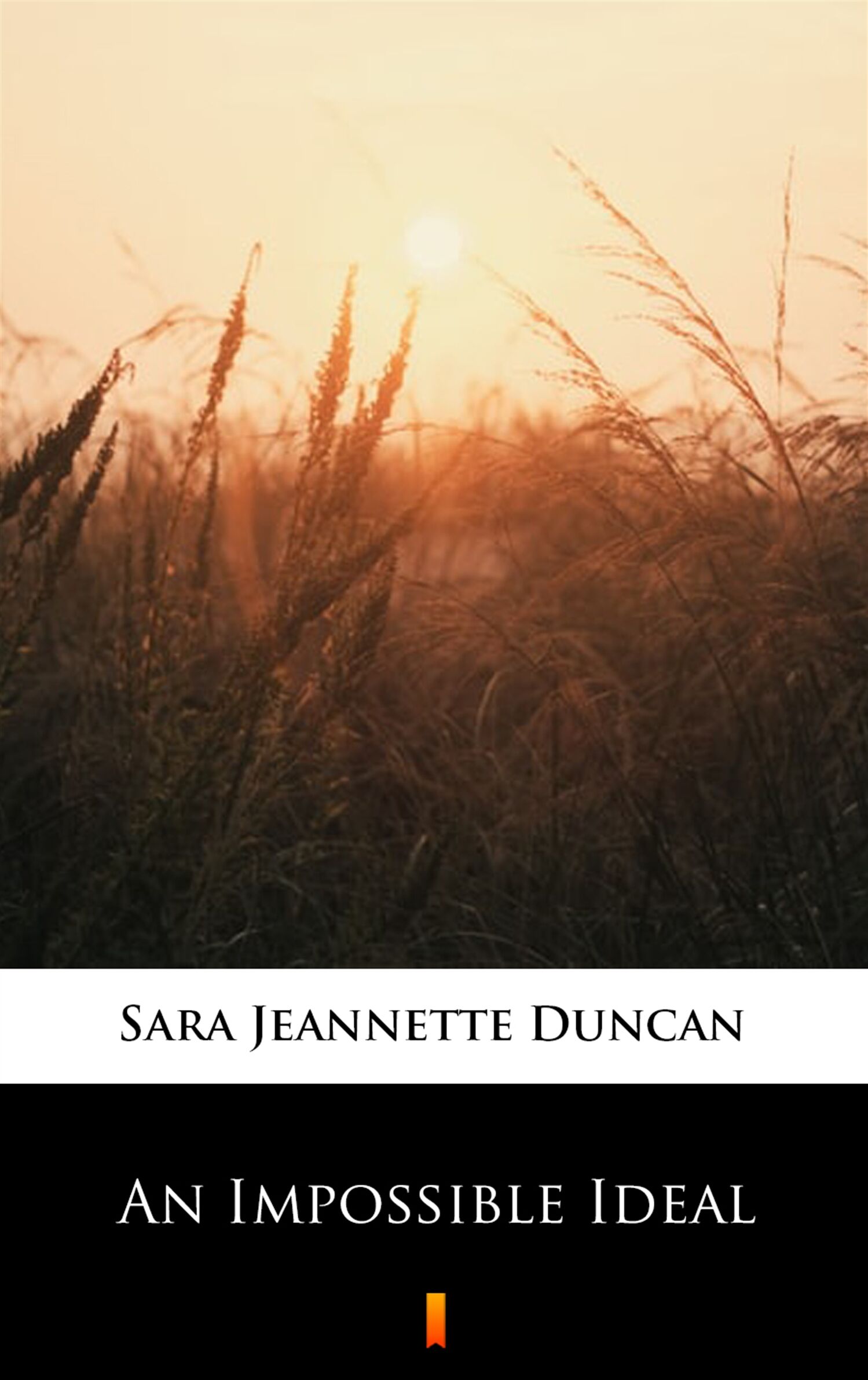 An Impossible Ideal (e-book)