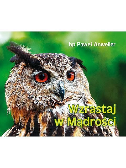Wzrastaj w mądrości perełki
