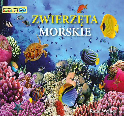 Zwierzęta morskie Poznajemy zwierzęta