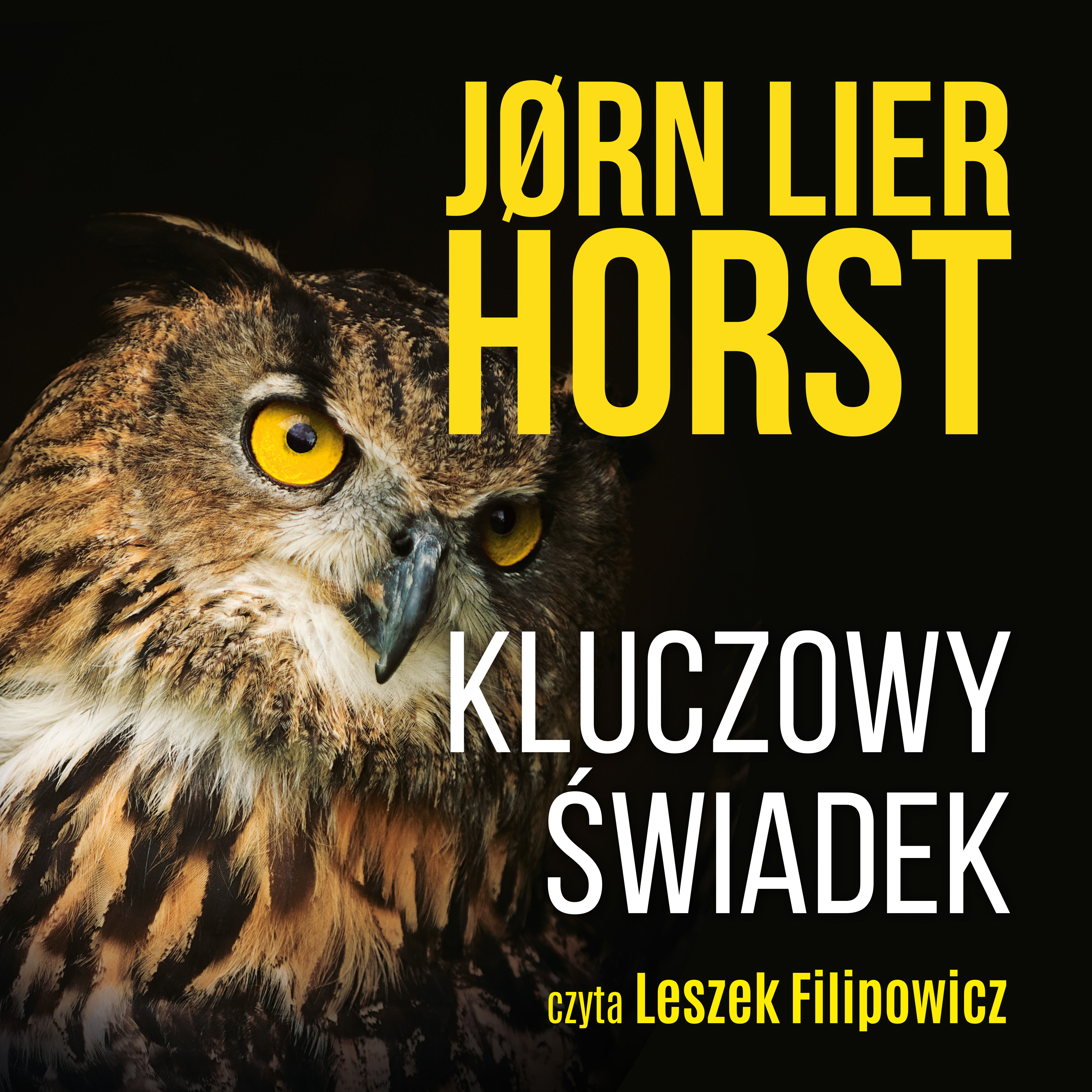 Kluczowy świadek (audiobook MP3)