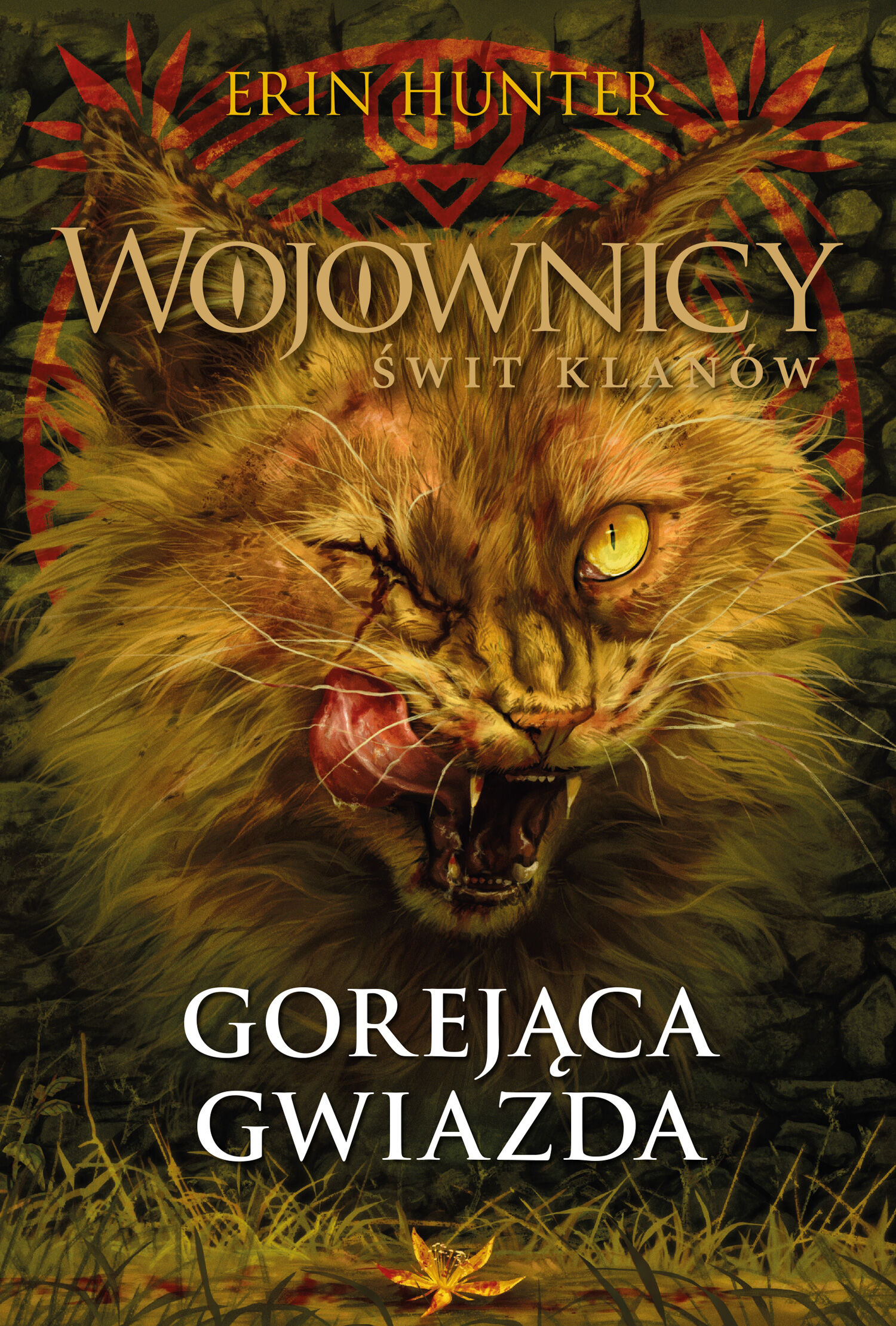 Gorejąca Gwiazda (e-book)