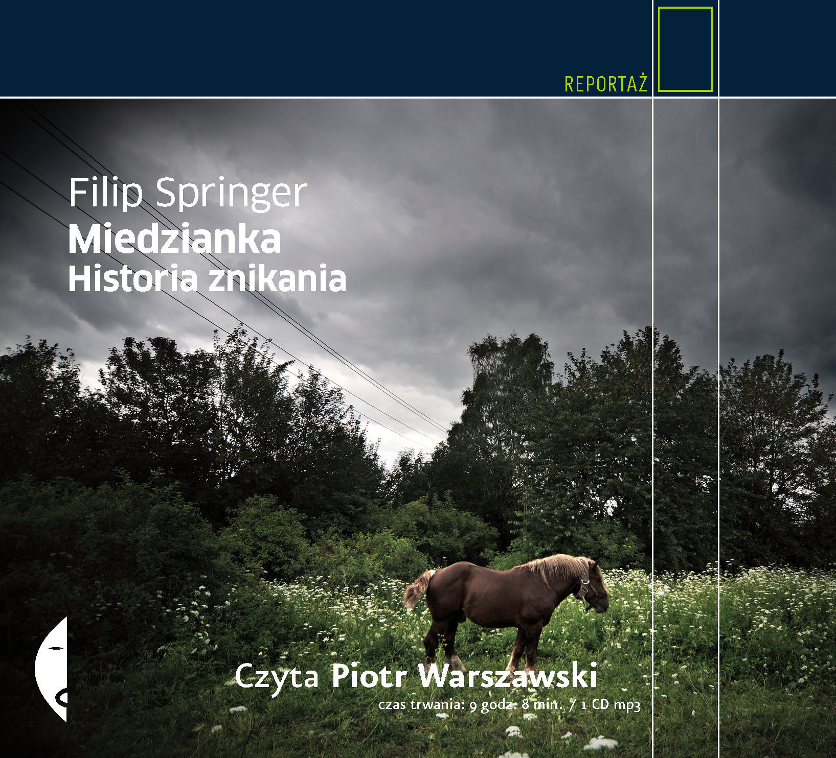 Miedzianka. Historia znikania (audiobook CD)
