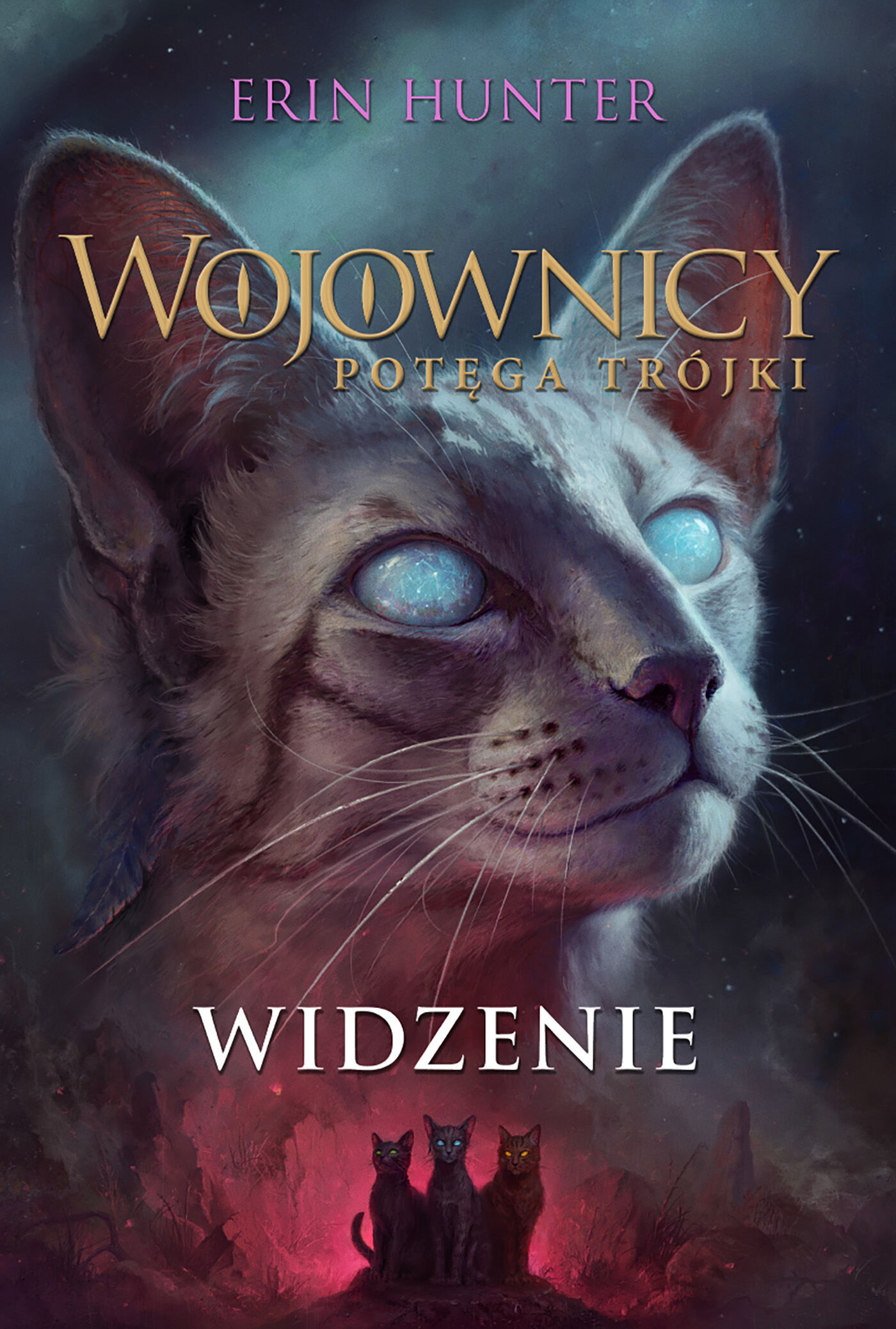 Widzenie (Wojownicy. Siła trójki XIII) /NB/