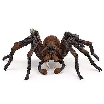 Aragog slh13987