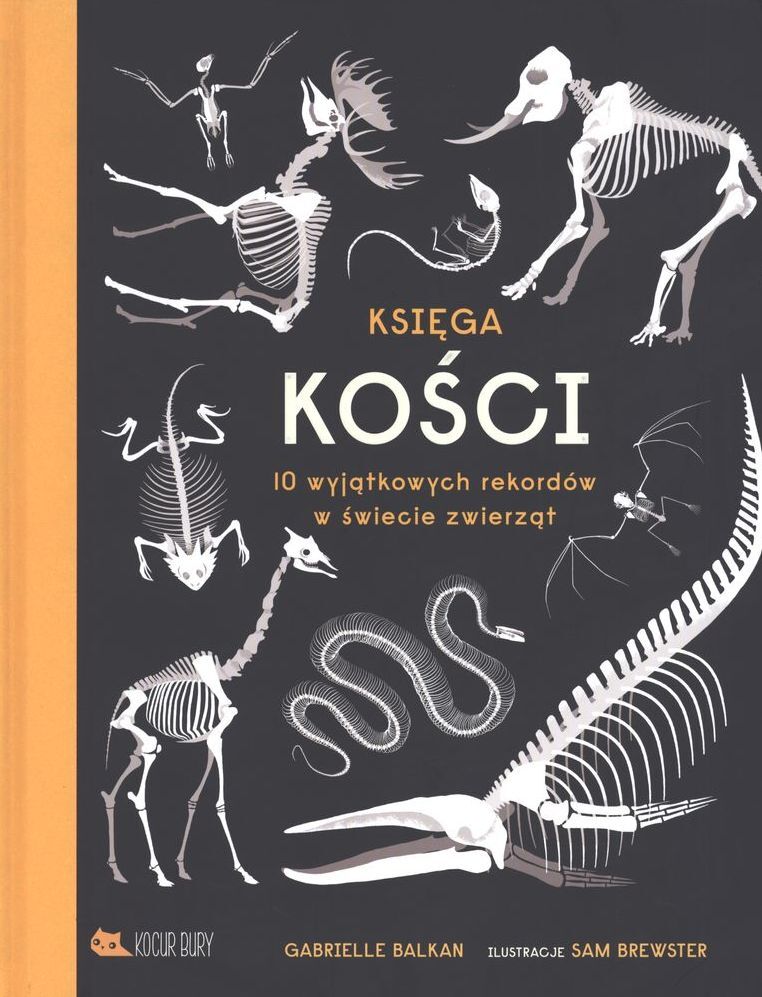 Księga kości