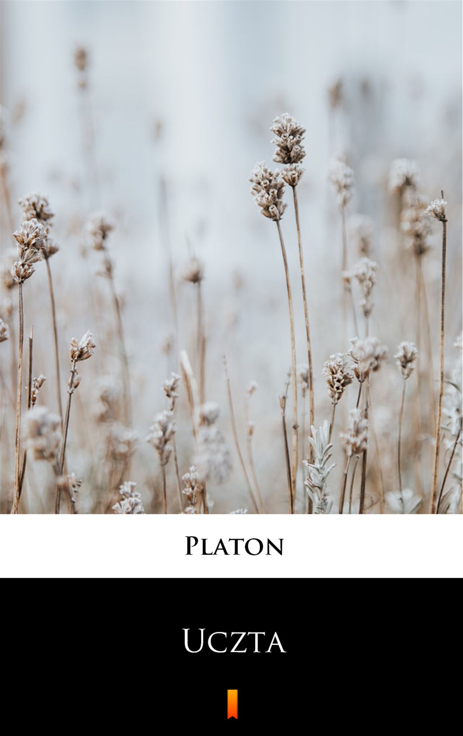 Uczta (e-book)