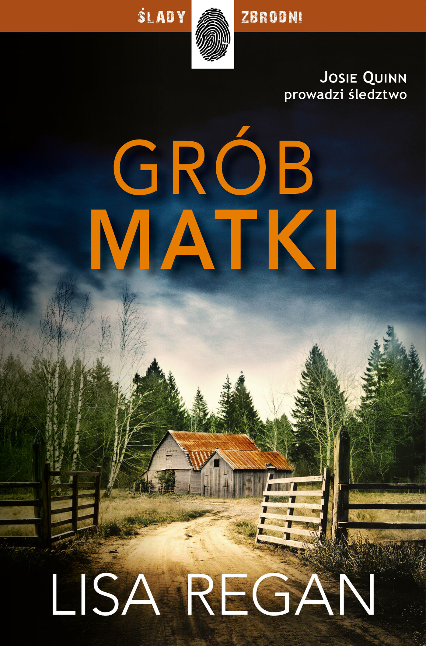 Grób matki (e-book)