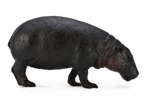 Hopopotam karłowaty L