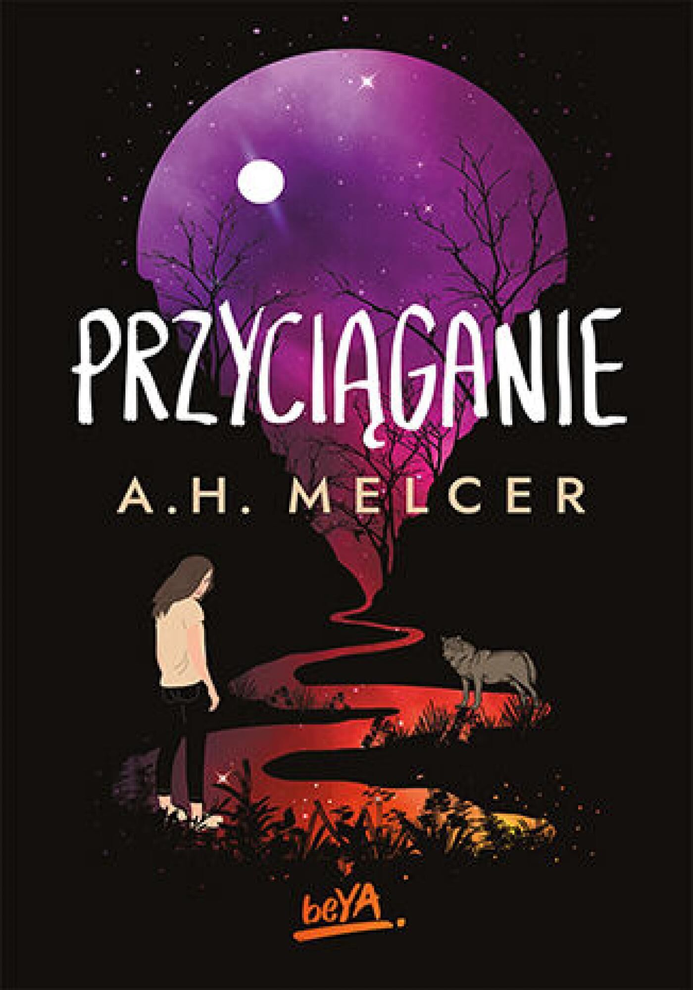 Przyciąganie (e-book)