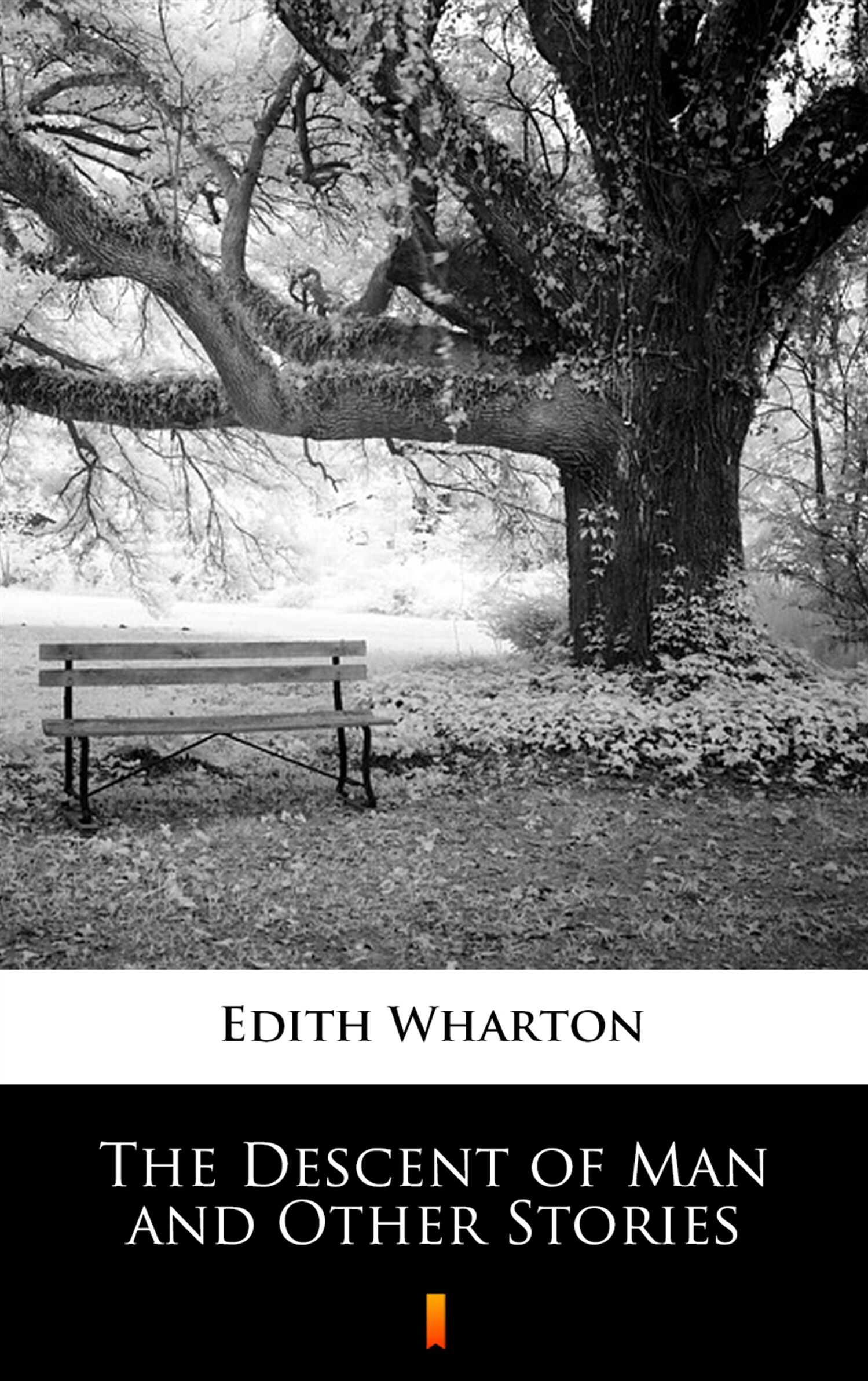 The Descent of Man and Other Stories (e-book)