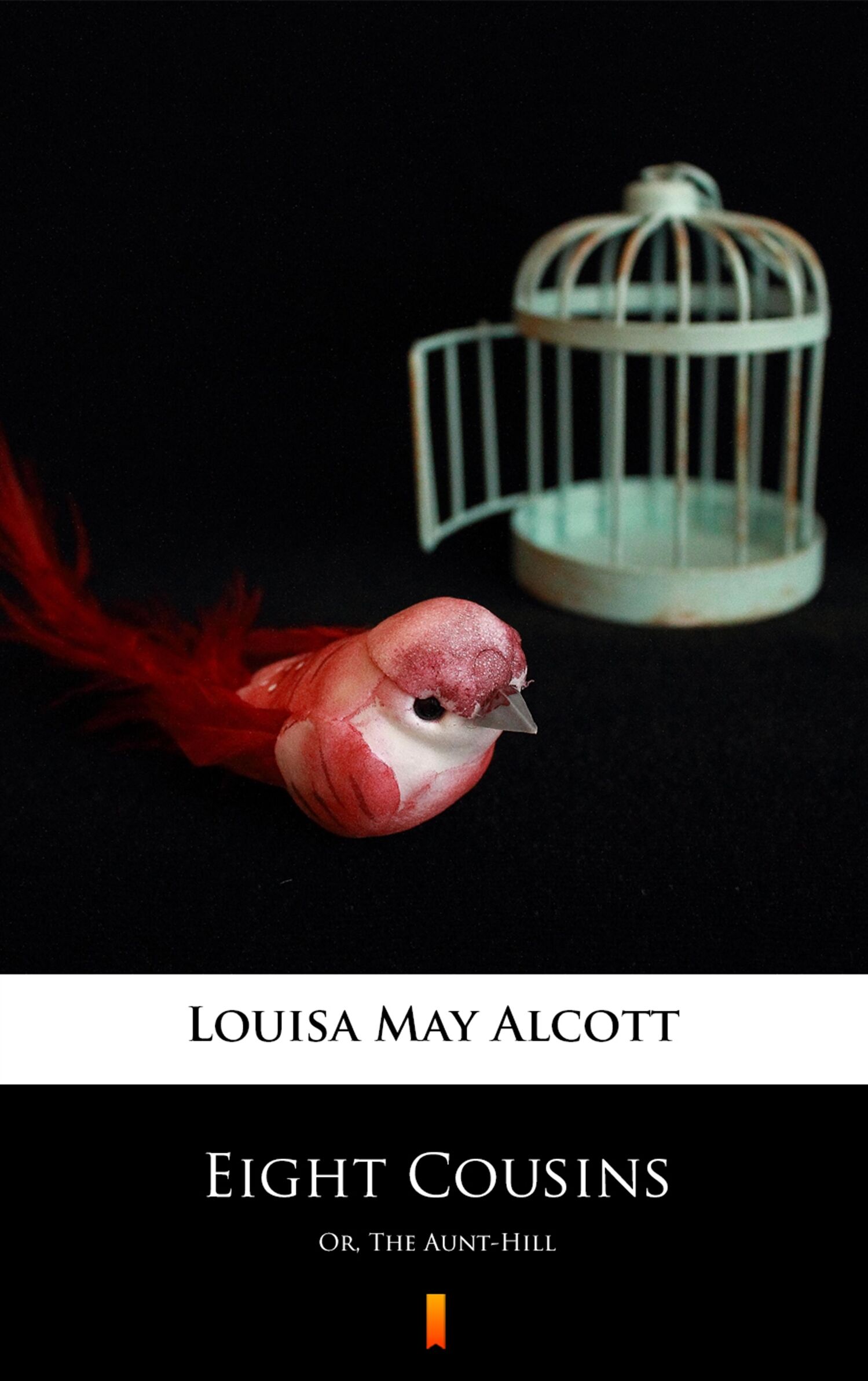 Eight Cousins (e-book)