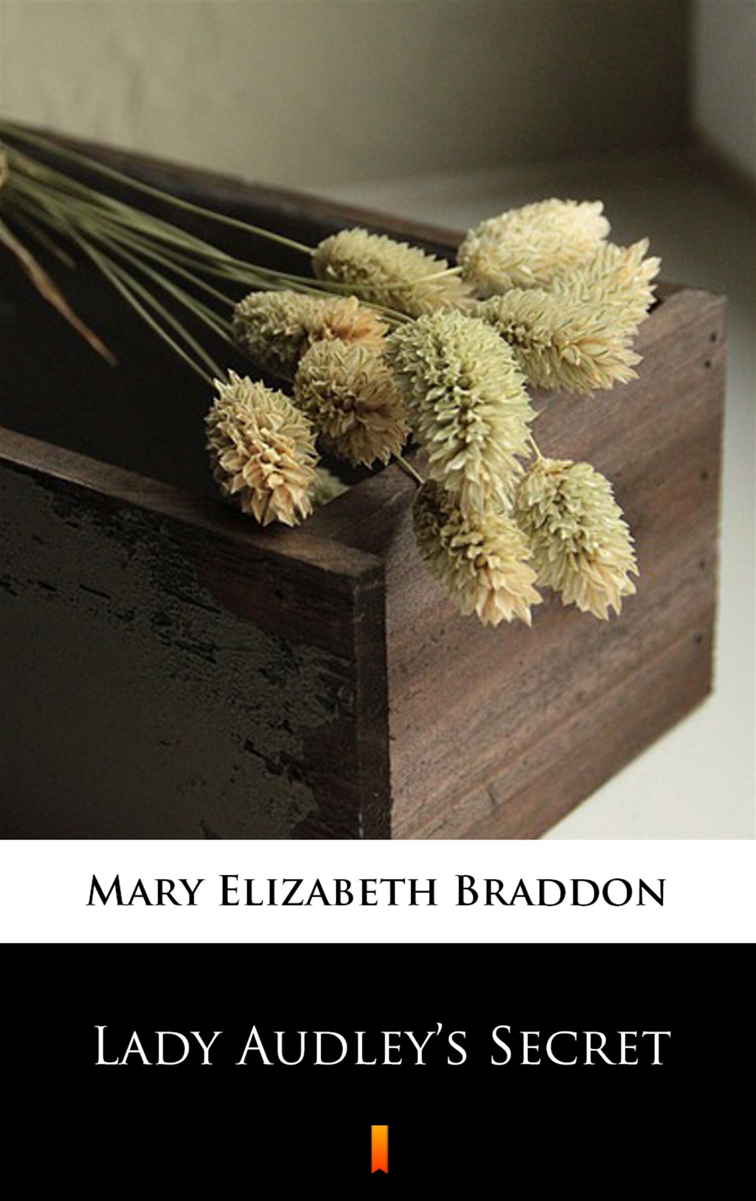 Lady Audley’s Secret (e-book)