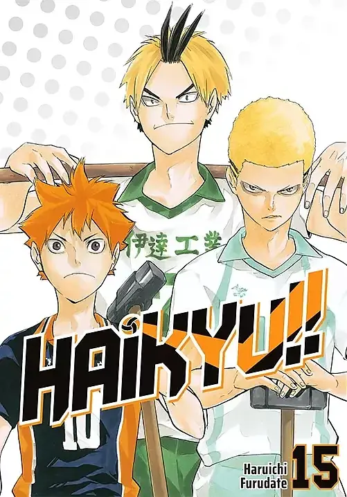 Haikyu!! - 15