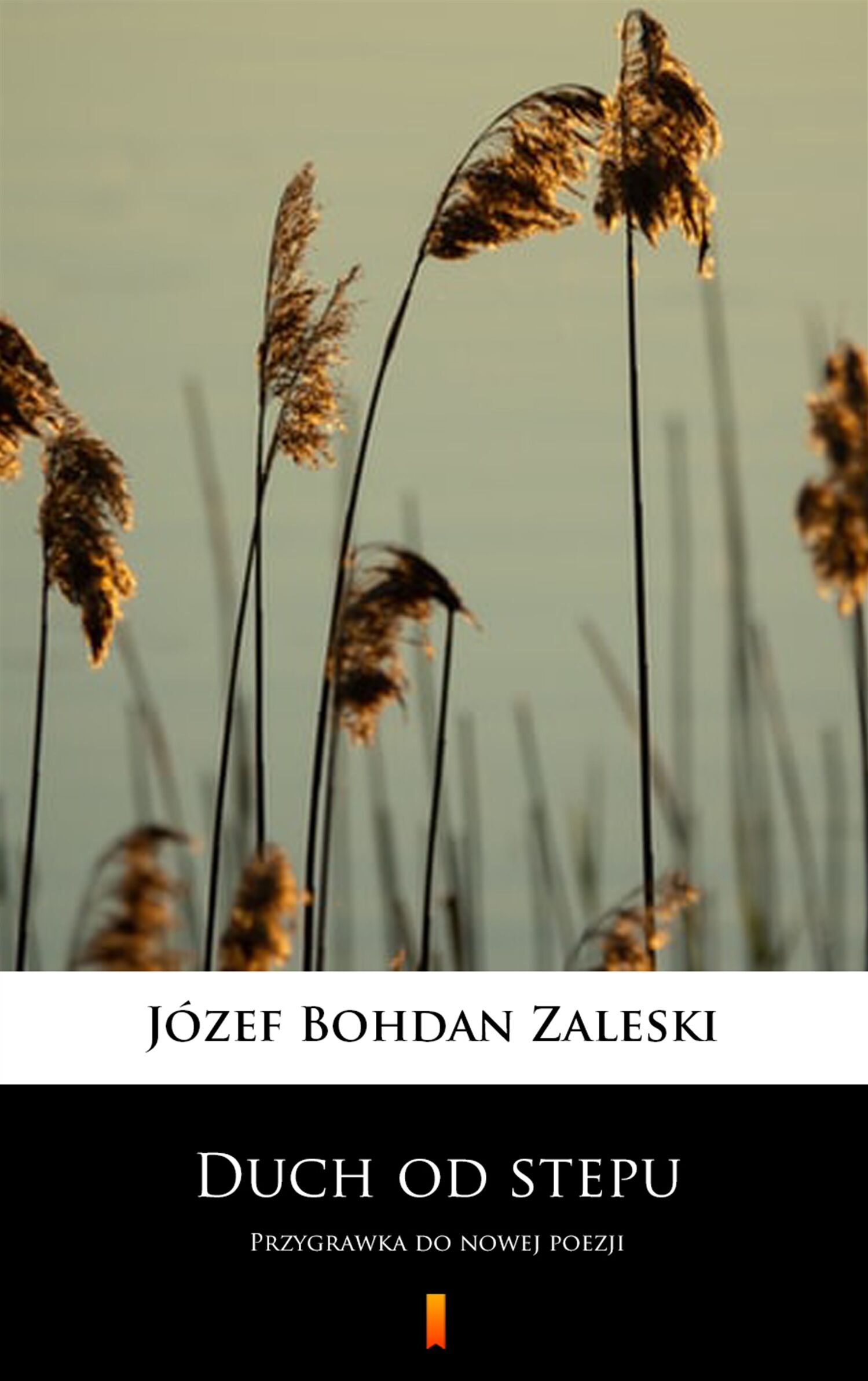 Duch od stepu (e-book)