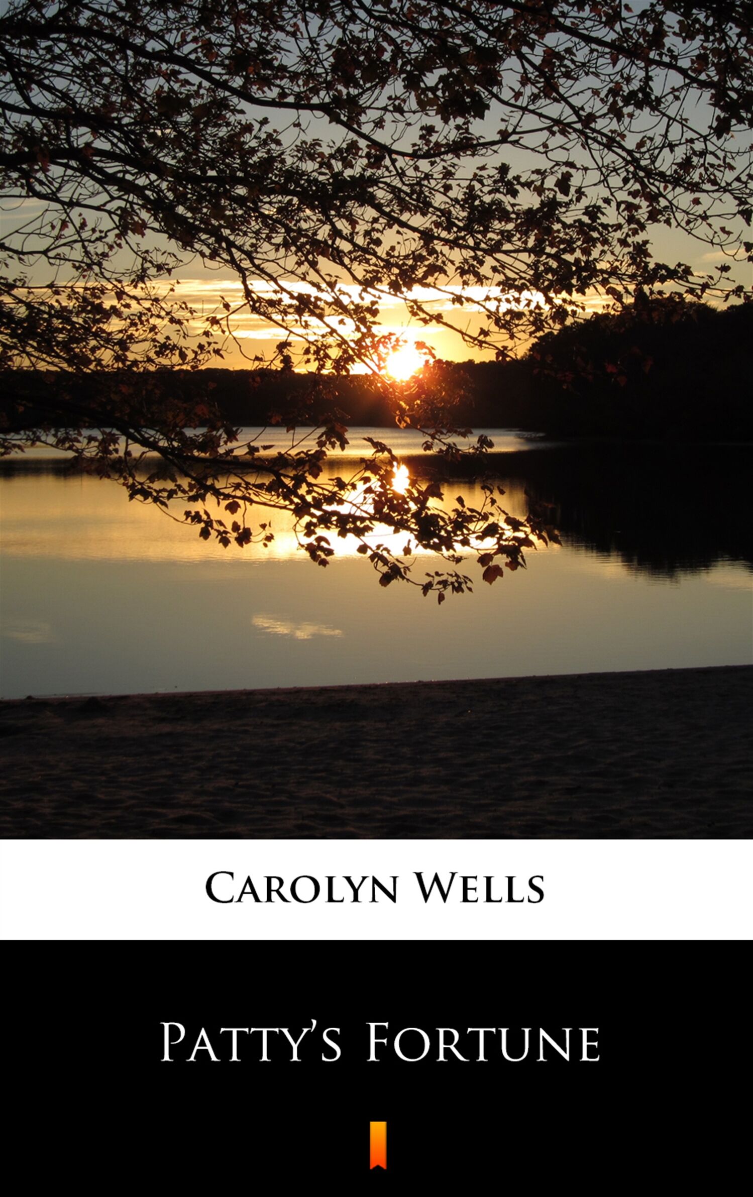 Patty’s Fortune (e-book)