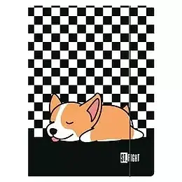 Paczka teczka a4 z gumką sleepy corgi 10 szt