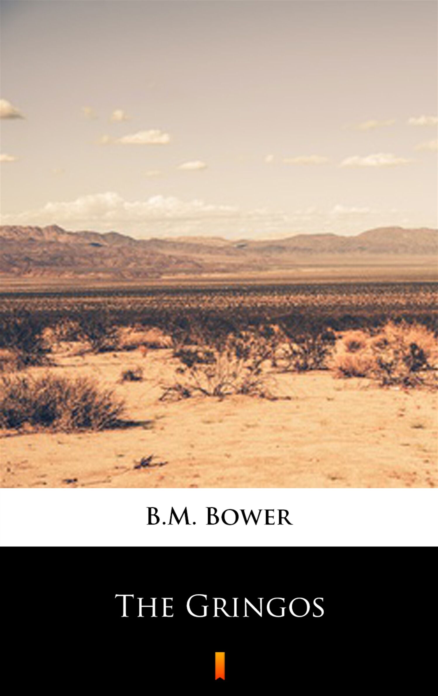 The Gringos (e-book)