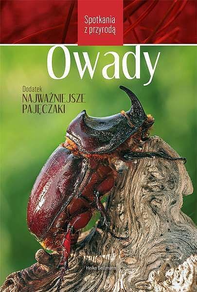 Owady