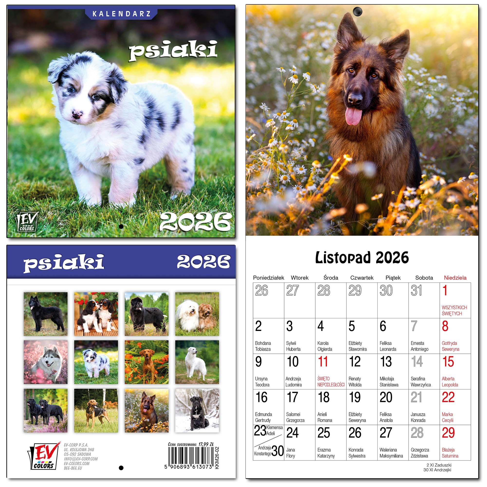 Kalendarz 2026 dla dzieci 13 planszowy Psiaki