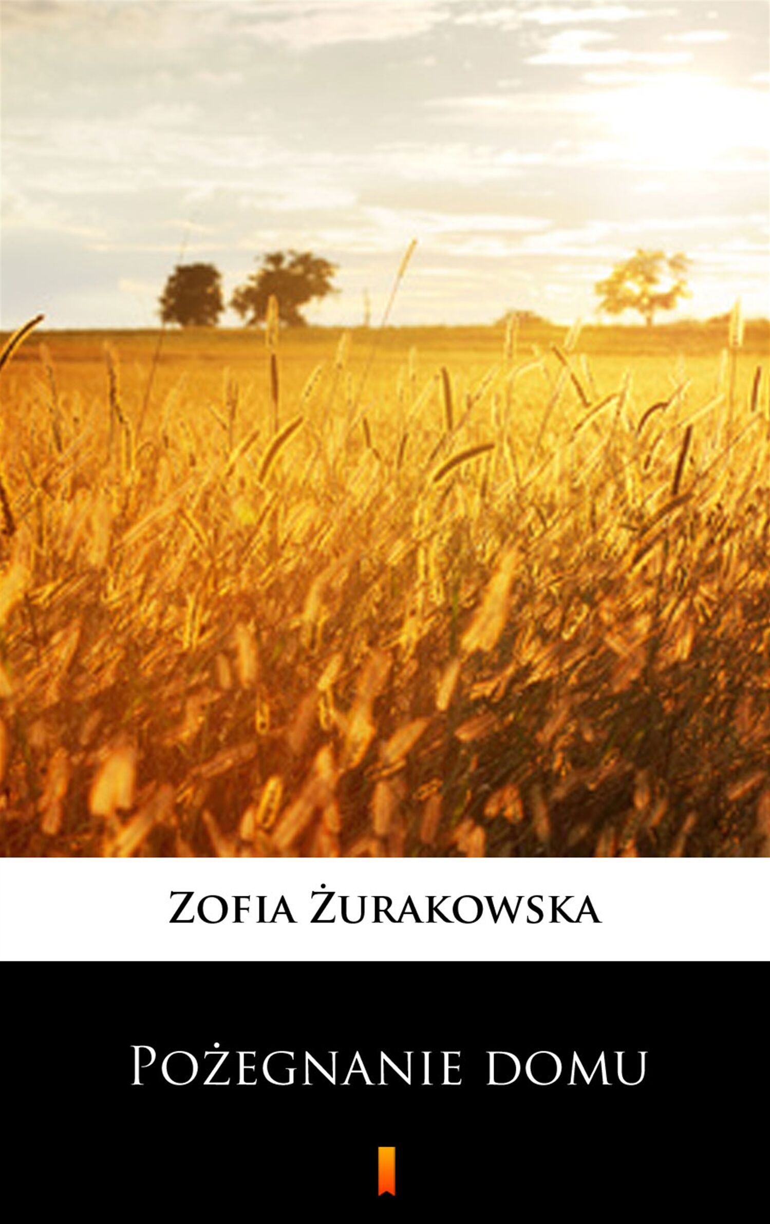 Pożegnanie domu (e-book)