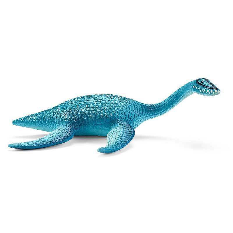Plesiosaurus slh15016