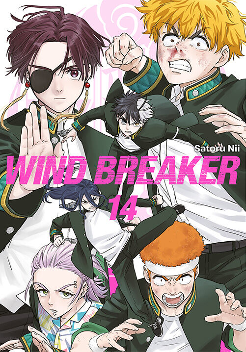 Wind Breaker - 14