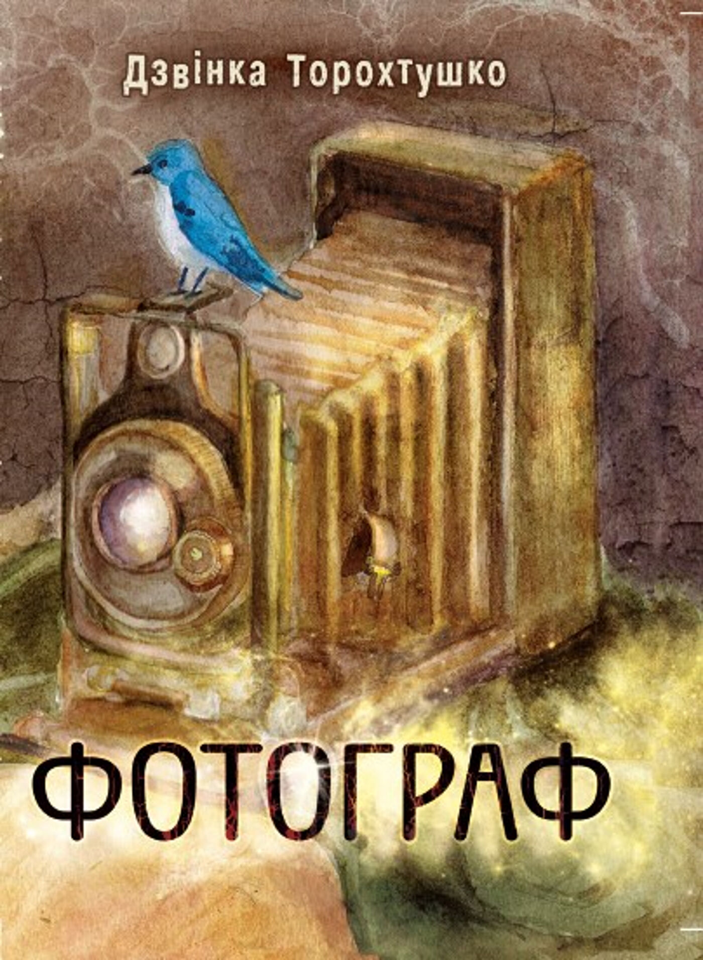 Фотограф (e-book)