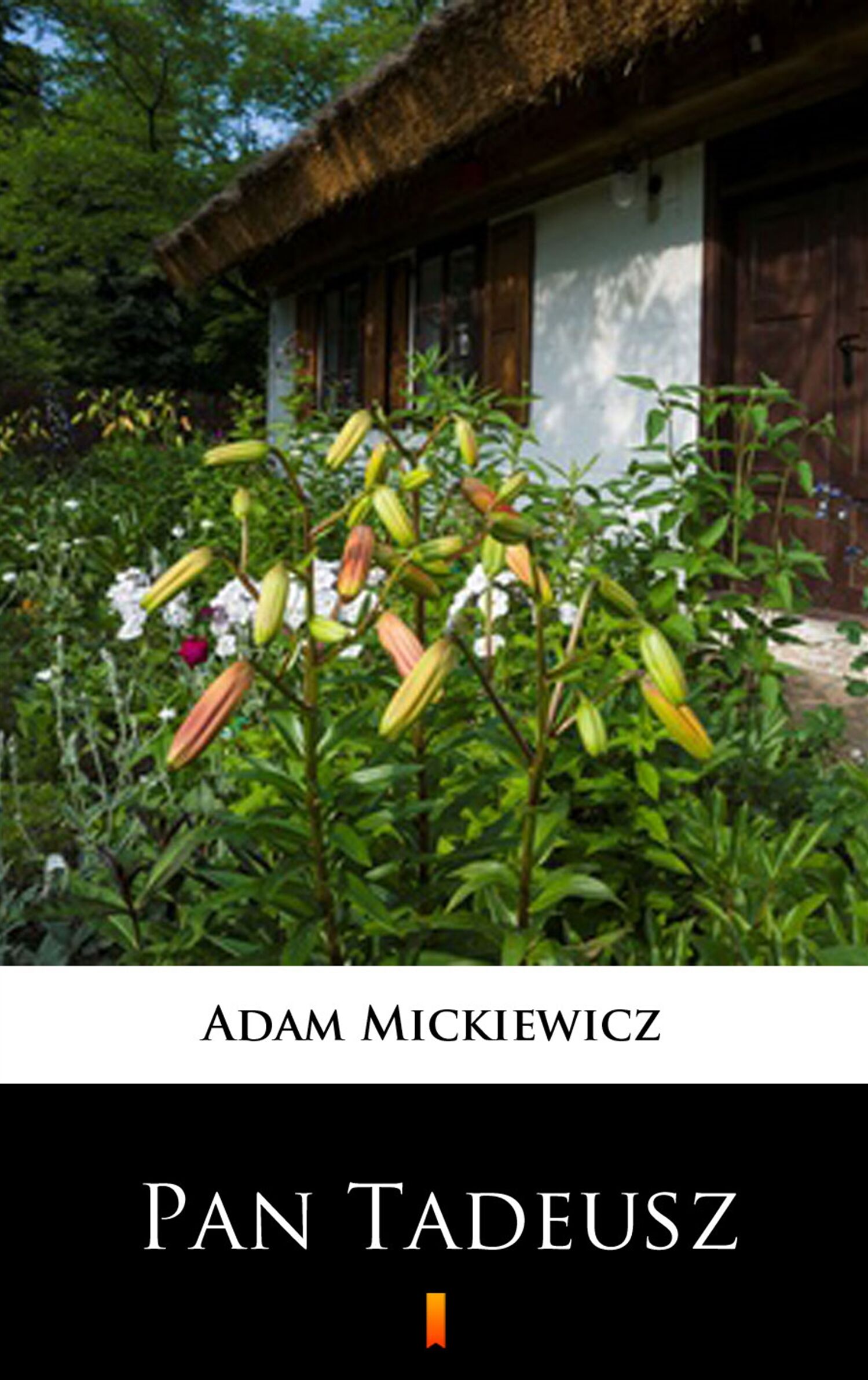Pan Tadeusz (e-book)